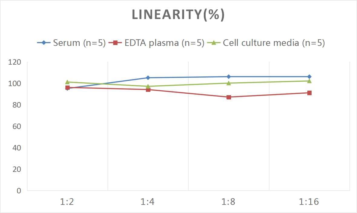 Rat VEGFR2/KDR/Flk-1 ELISA Kit (Colorimetric)