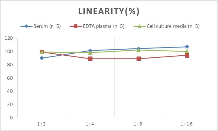 Rat VEGF-D ELISA Kit (Colorimetric)