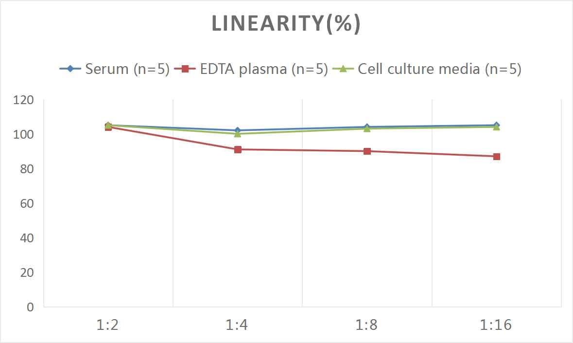 Mouse VEGF-D ELISA Kit (Colorimetric)