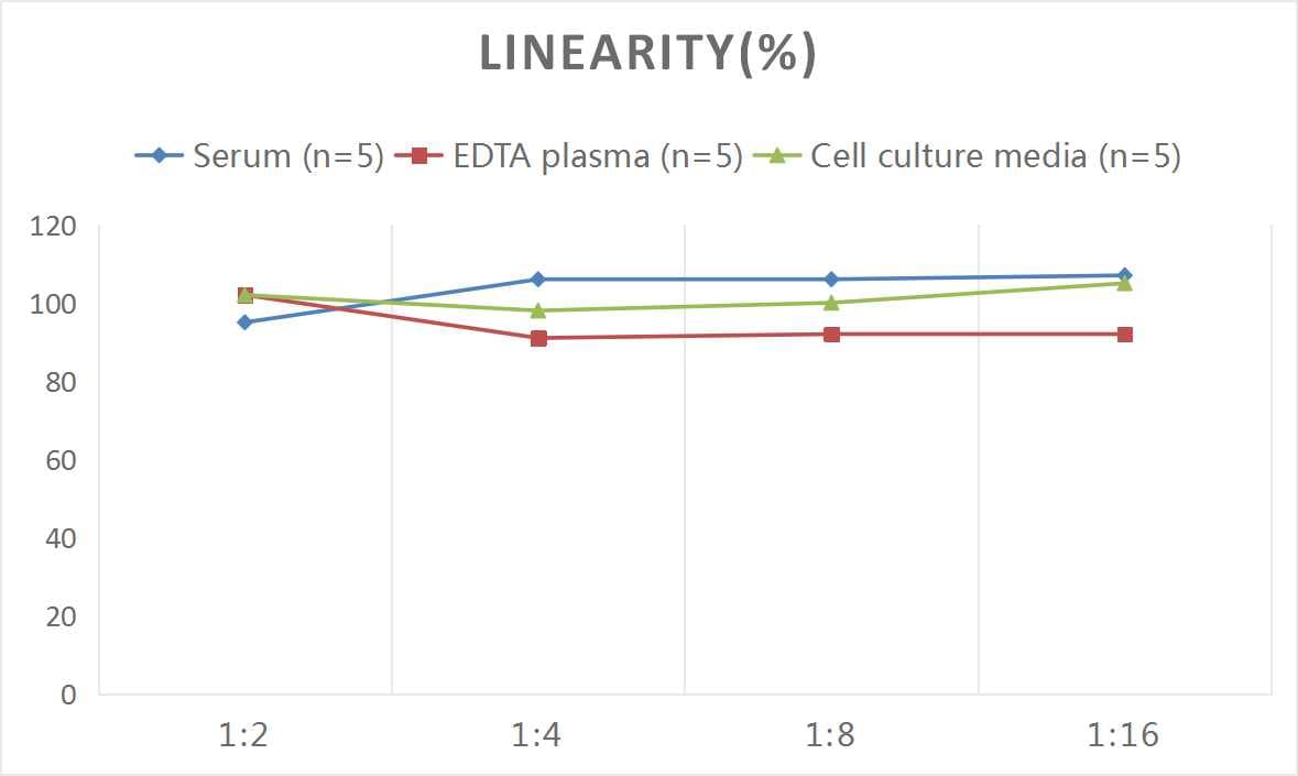 Mouse VEGF-B ELISA Kit (Colorimetric)