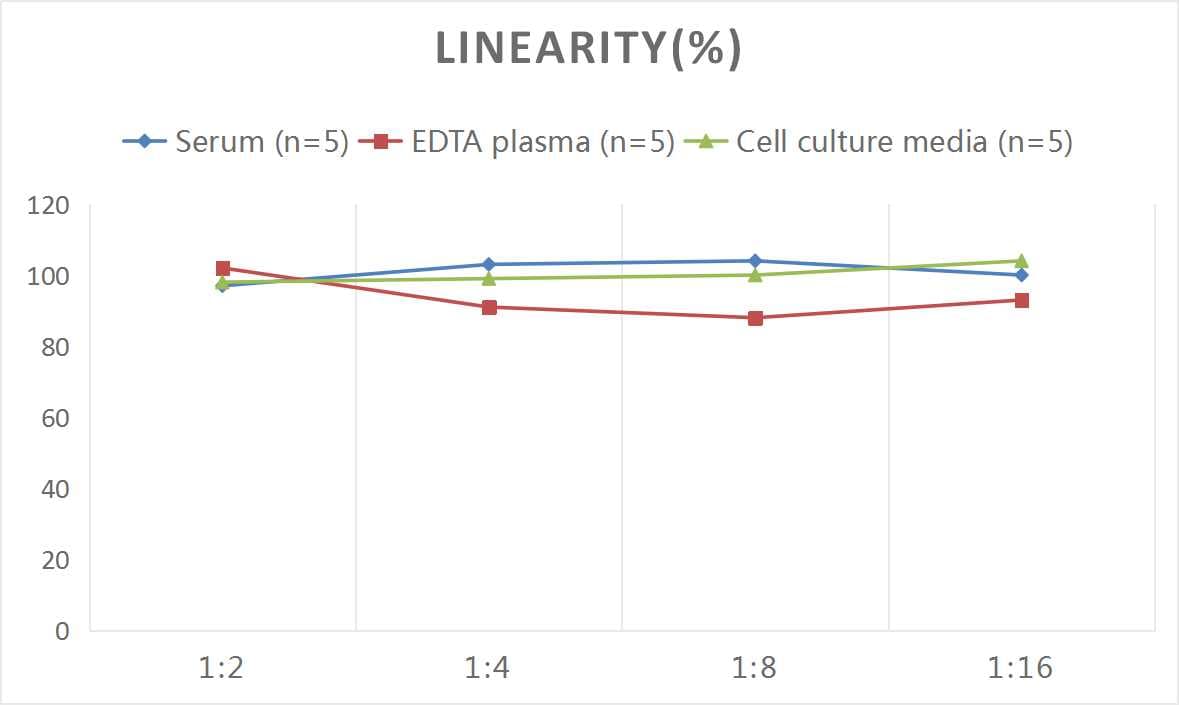 Human VEGF 165 ELISA Kit (Colorimetric)