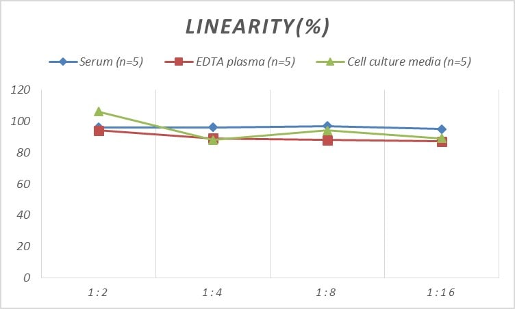 Rat Undercarboxylated Osteocalcin ELISA Kit (Colorimetric)