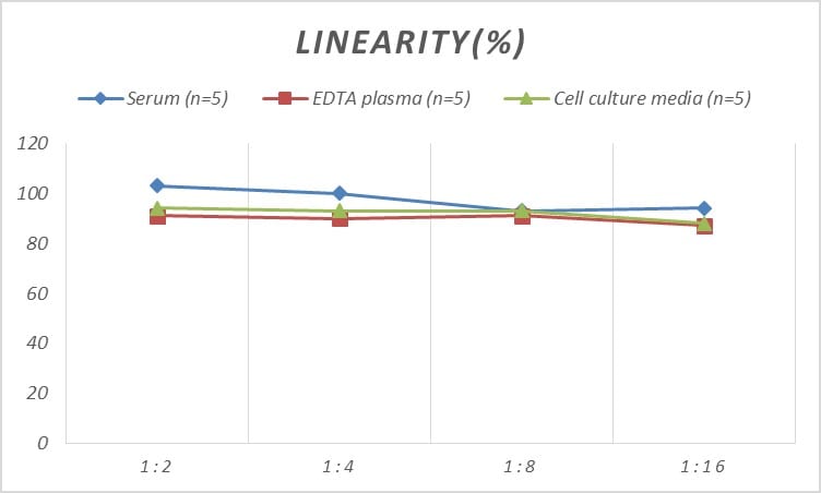 Rabbit Oxidized LDL ELISA Kit (Colorimetric)