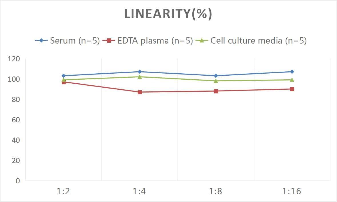 Rat Oxidized LDL ELISA Kit (Colorimetric)