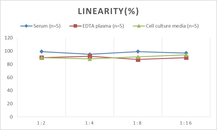 Rat Connexin 26/GJB2 ELISA Kit (Colorimetric)