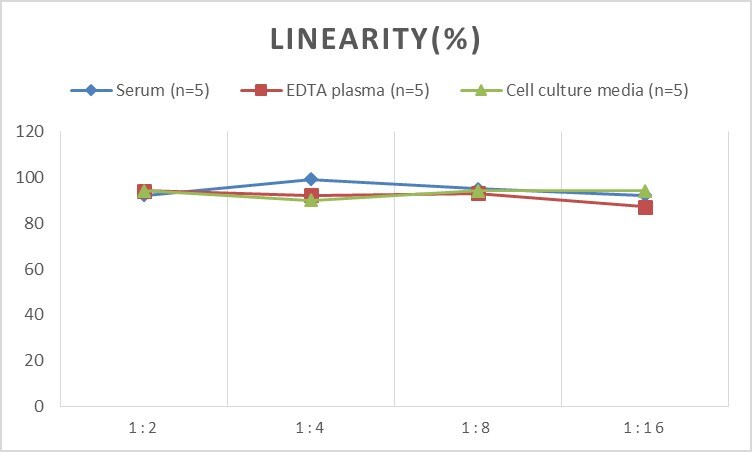 Rat Connexin 31/GJB3 ELISA Kit (Colorimetric)