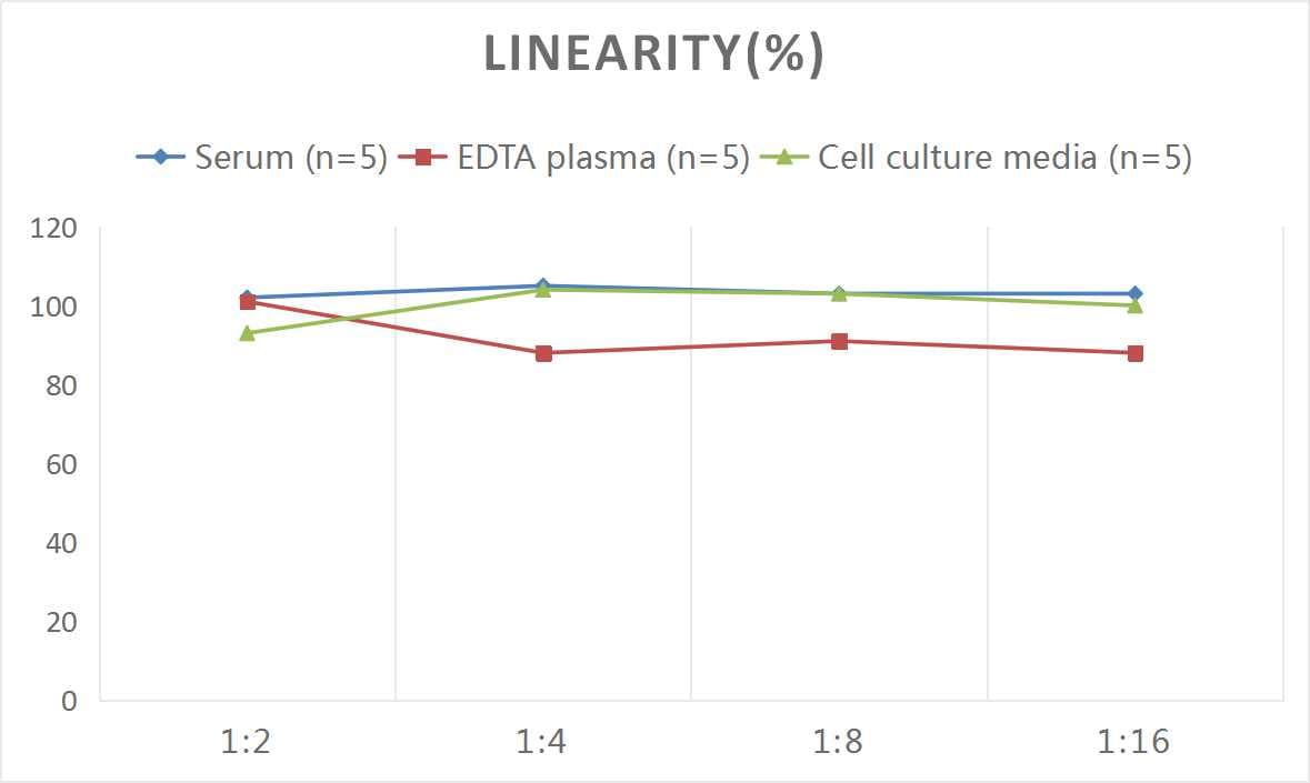 Mouse eNOS ELISA Kit (Colorimetric)