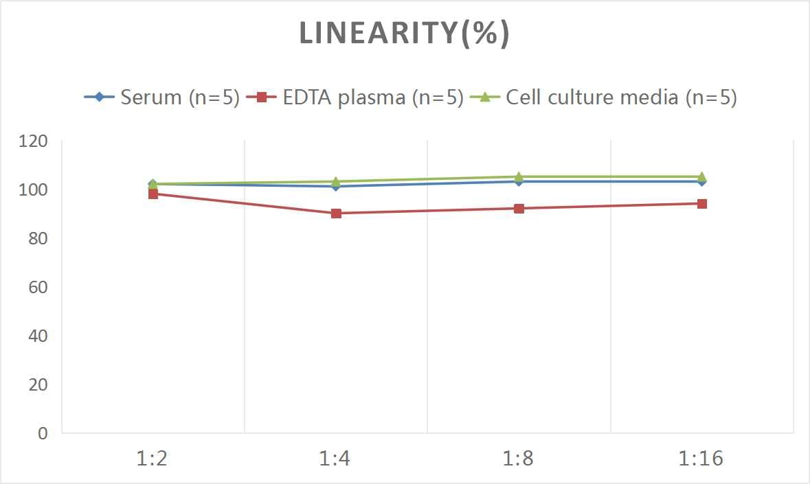 Rat eNOS ELISA Kit (Colorimetric)