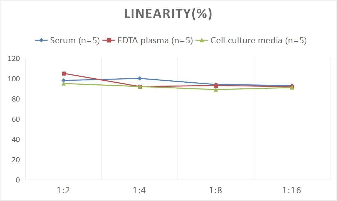 Mouse IGFBP-1 ELISA Kit (Colorimetric)