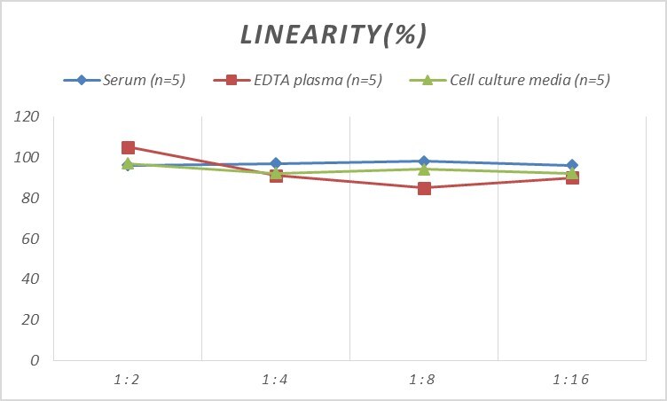 Rat IGFBP-1 ELISA Kit (Colorimetric)