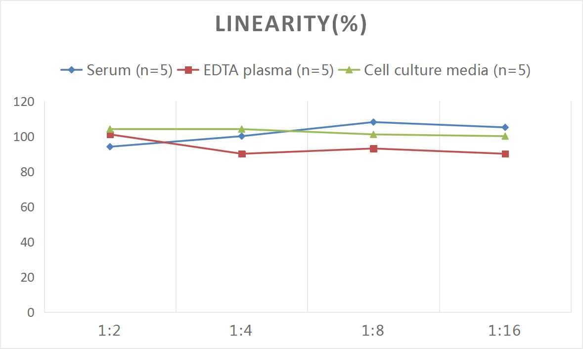 Rat iNOS ELISA Kit (Colorimetric)