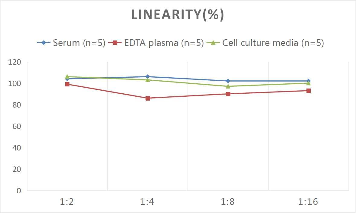 Rat Renin ELISA Kit (Colorimetric)