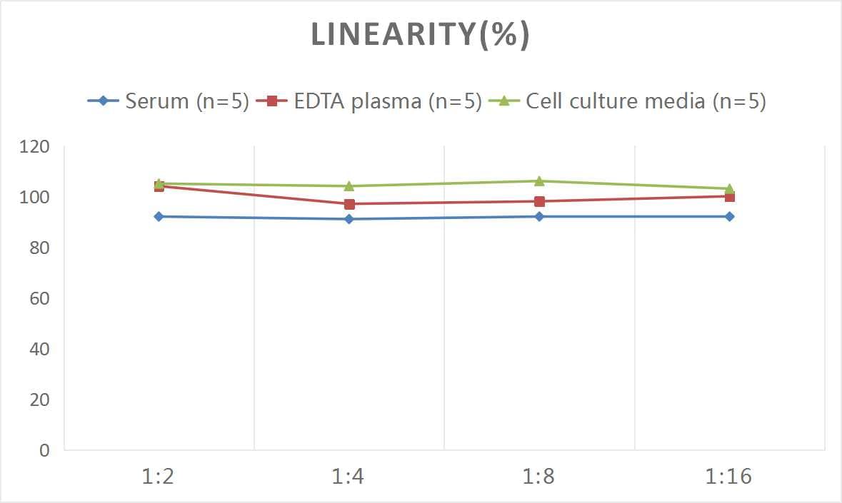 Mouse Somatostatin ELISA Kit (Colorimetric)