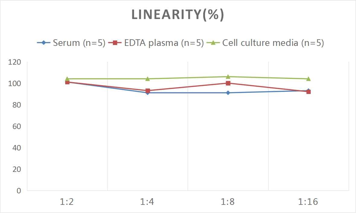 Rat Somatostatin ELISA Kit (Colorimetric)