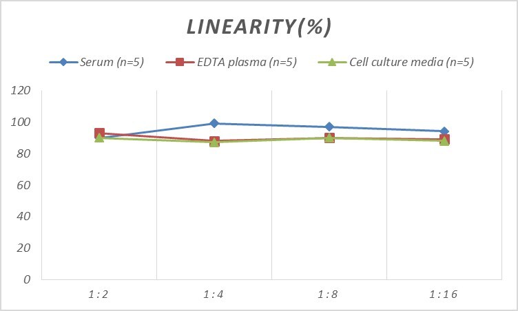 Human Somatostatin R5/SSTR5 ELISA Kit (Colorimetric)
