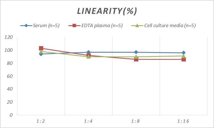 Human Synaptophysin ELISA Kit (Colorimetric)