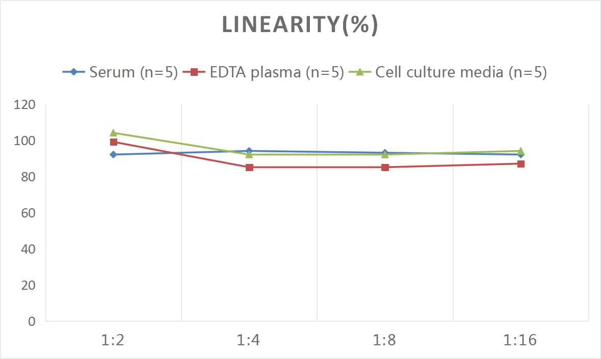 Rat Synaptophysin ELISA Kit (Colorimetric)