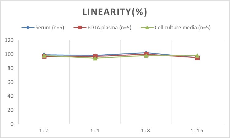 Monkey Synaptophysin ELISA Kit (Colorimetric)
