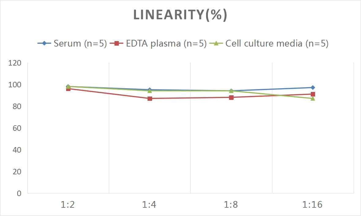 Human Noggin ELISA Kit (Colorimetric)
