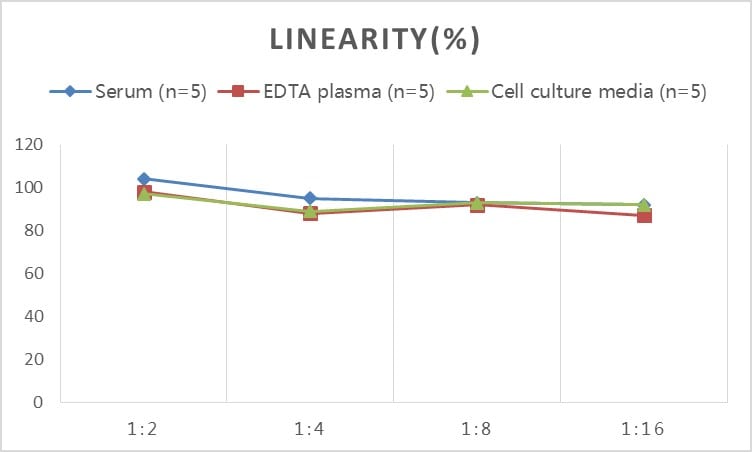 Mouse NF-L ELISA Kit (Colorimetric)