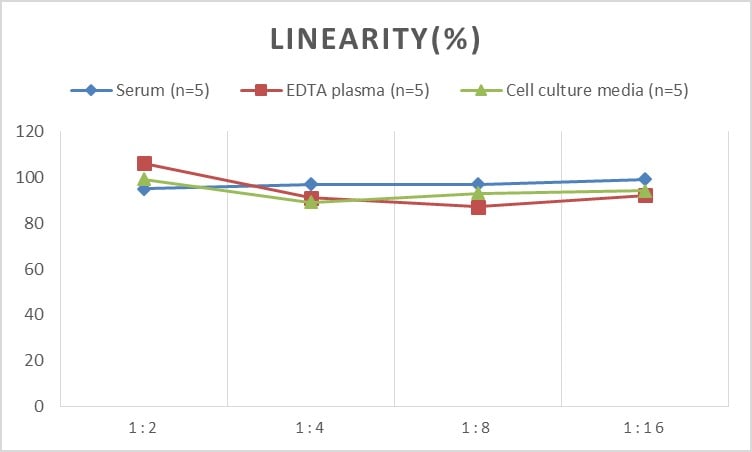 Rat Intelectin-1/Omentin ELISA Kit (Colorimetric)