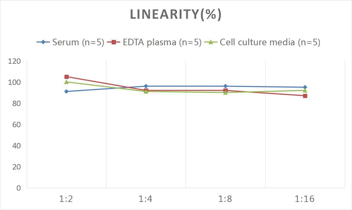 Mouse MBP ELISA Kit (Colorimetric)
