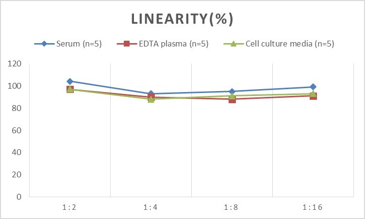 Mouse MOG ELISA Kit (Colorimetric)