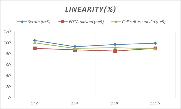 Human NAIP ELISA Kit (Colorimetric)