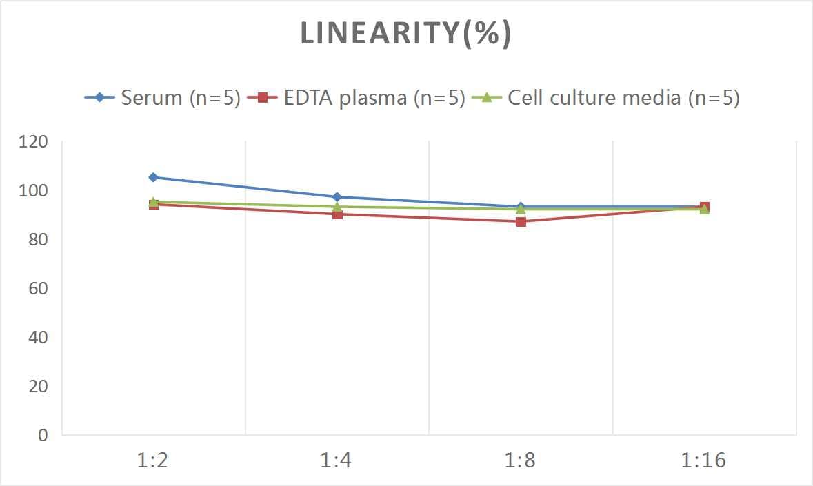 Rat NCAM-1/CD56 ELISA Kit (Colorimetric)