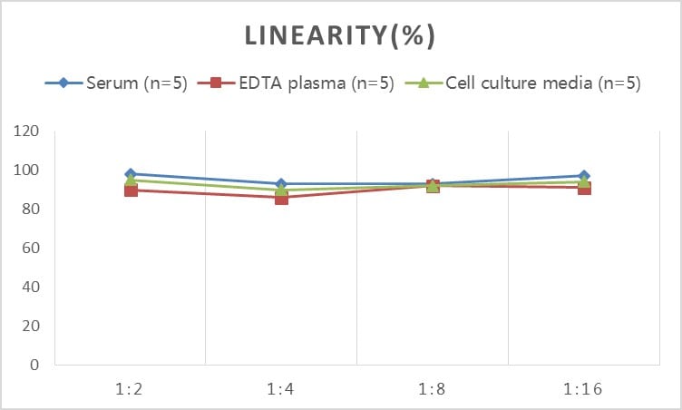 Rat NF-L ELISA Kit (Colorimetric)