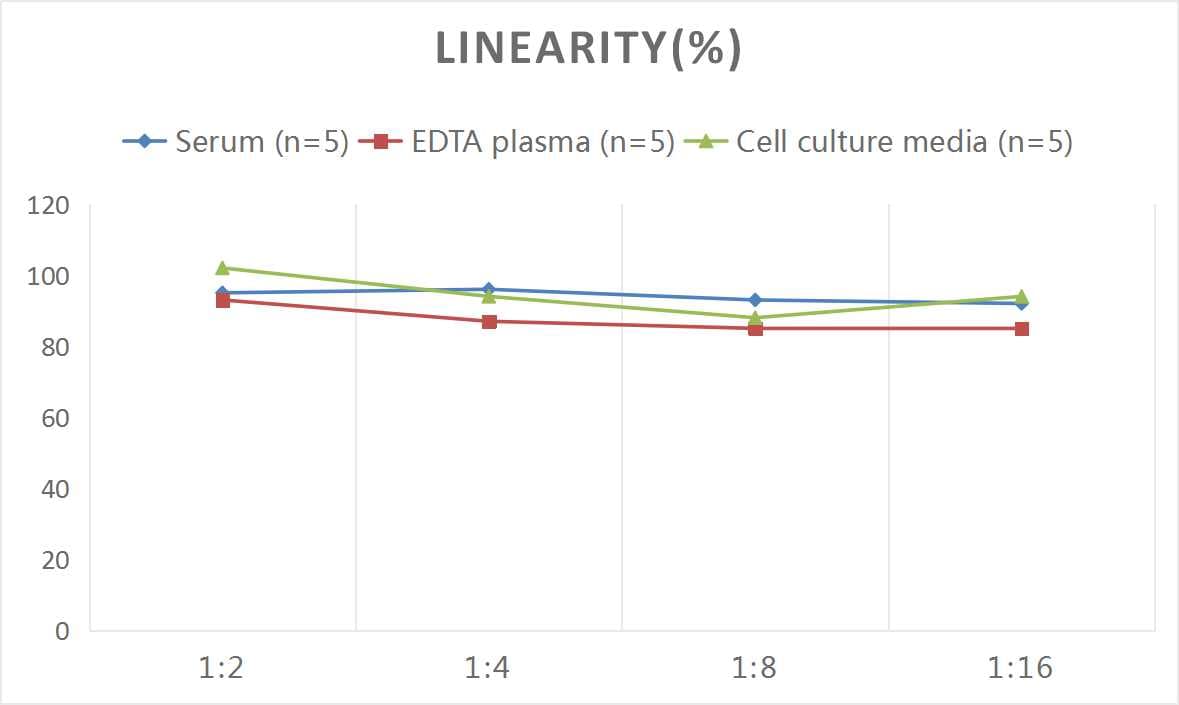 Mouse beta-NGF ELISA Kit (Colorimetric)