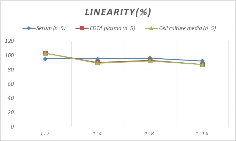 Mouse OCT1 ELISA Kit (Colorimetric)