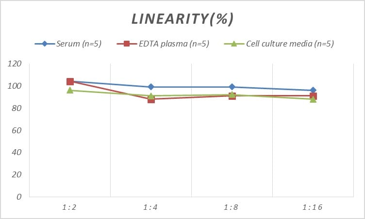 Rat Procollagen Type 2 C-Terminal Propeptide ELISA Kit (Colorimetric)
