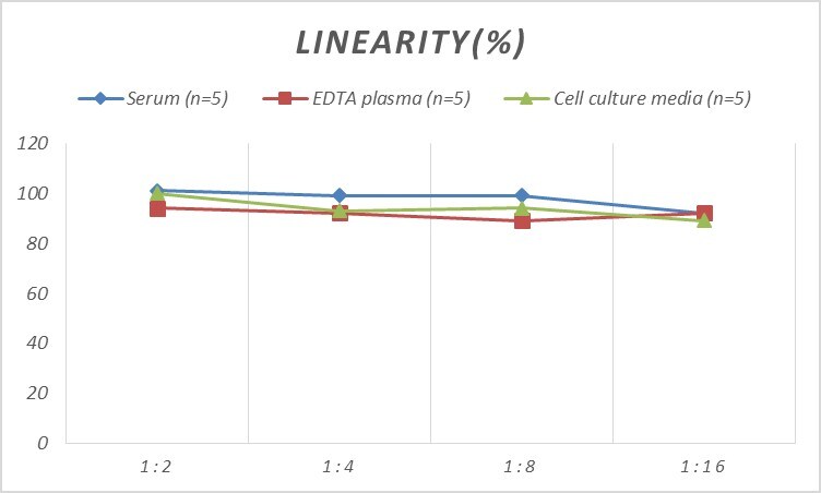 Human PCK1 ELISA Kit (Colorimetric)