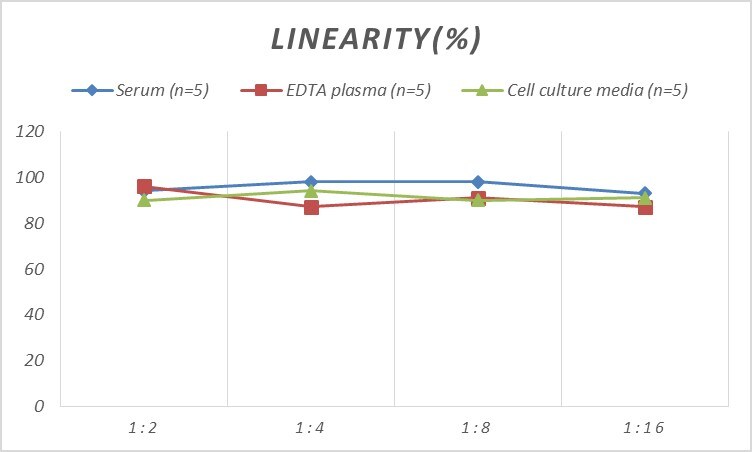 Mouse Protein Disulfide Isomerase/P4HB ELISA Kit (Colorimetric)