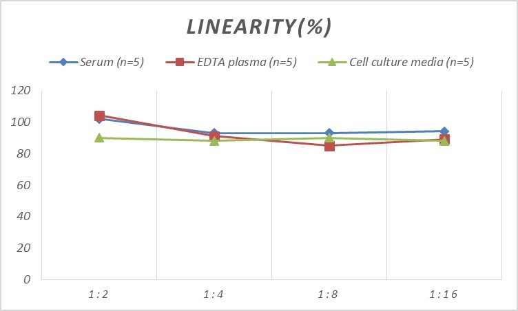Rat Protein Disulfide Isomerase/P4HB ELISA Kit (Colorimetric)
