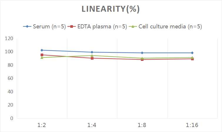 Human ERp57/PDIA3 ELISA Kit (Colorimetric)