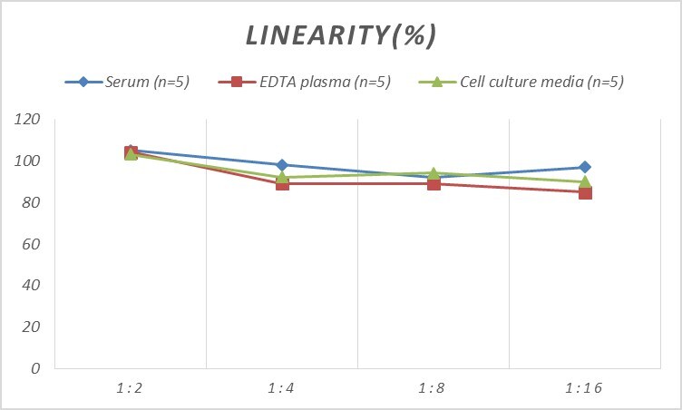 Mouse ERp57/PDIA3 ELISA Kit (Colorimetric)