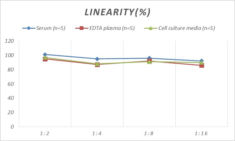 Rat ERp57/PDIA3 ELISA Kit (Colorimetric)