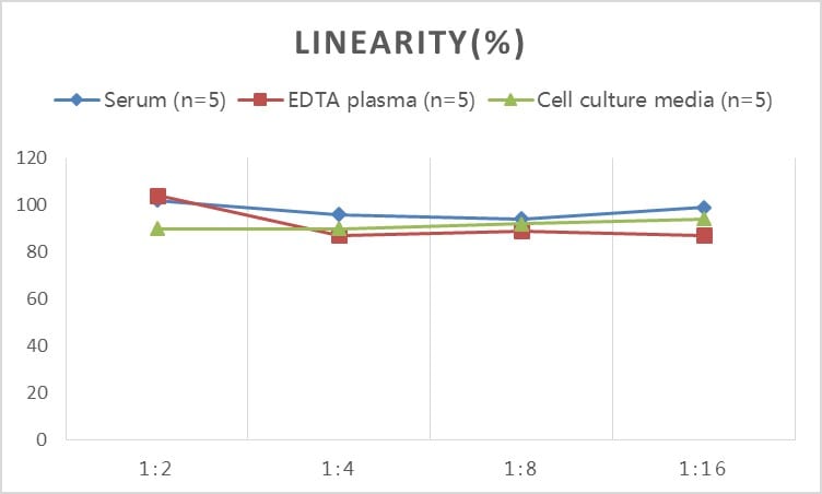 Human PDK4 ELISA Kit (Colorimetric)