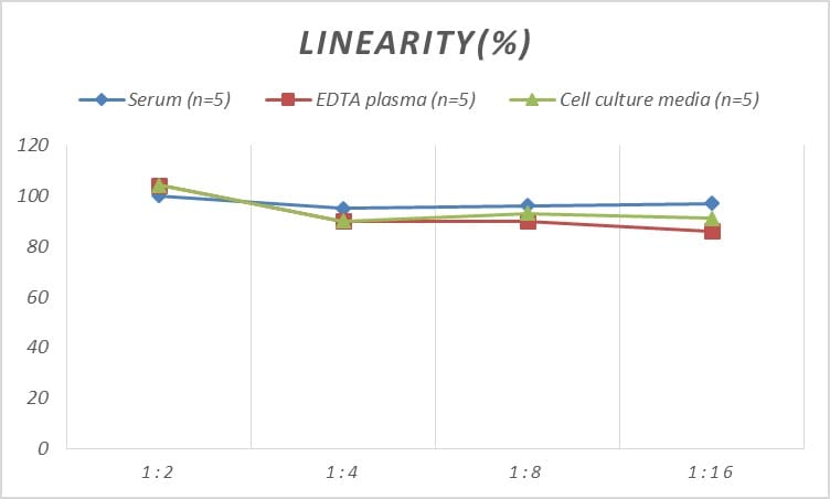 Rat PDK4 ELISA Kit (Colorimetric)