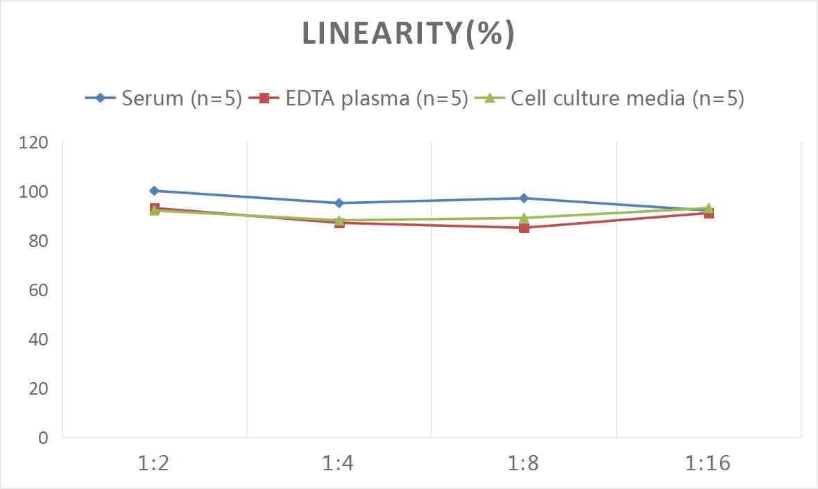 Human Podoplanin ELISA Kit (Colorimetric)