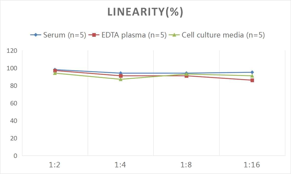 Human PEPD ELISA Kit (Colorimetric)