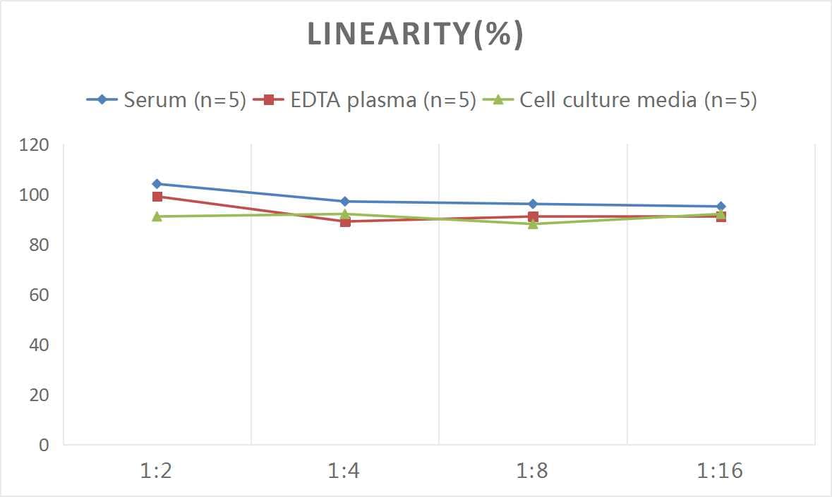 Human Profilin 1 ELISA Kit (Colorimetric)