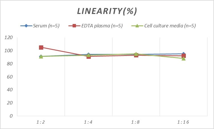 Human PON2 ELISA Kit (Colorimetric)