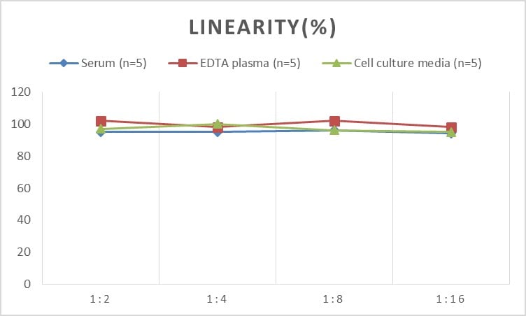 Rabbit Procollagen Type 1 C-Terminal Propeptide ELISA Kit (Colorimetric)