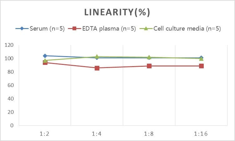 Rat Apolipoprotein B/ApoB ELISA Kit (Colorimetric)