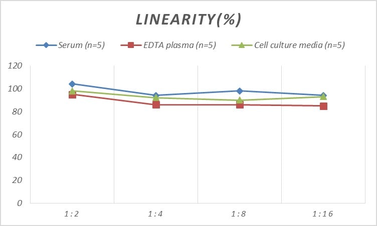 Rat Apolipoprotein C1 ELISA Kit (Colorimetric)