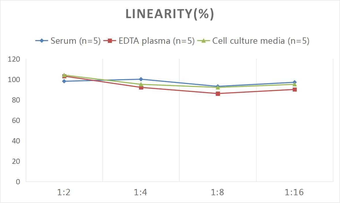 Human PP14/Glycodelin ELISA Kit (Colorimetric)