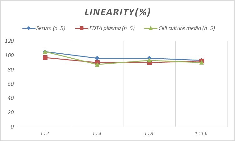 Rat CD30/TNFRSF8 ELISA Kit (Colorimetric)